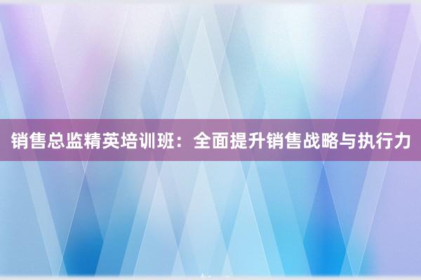 销售总监精英培训班：全面提升销售战略与执行力